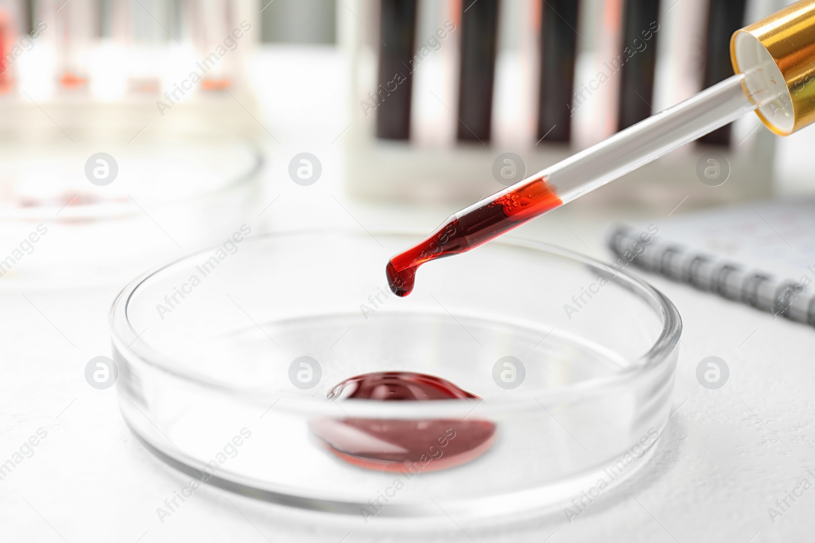 Image of Dripping blood from pipette into Petri dish on table, closeup. Laboratory analysis