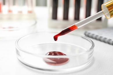 Dripping blood from pipette into Petri dish on table, closeup. Laboratory analysis