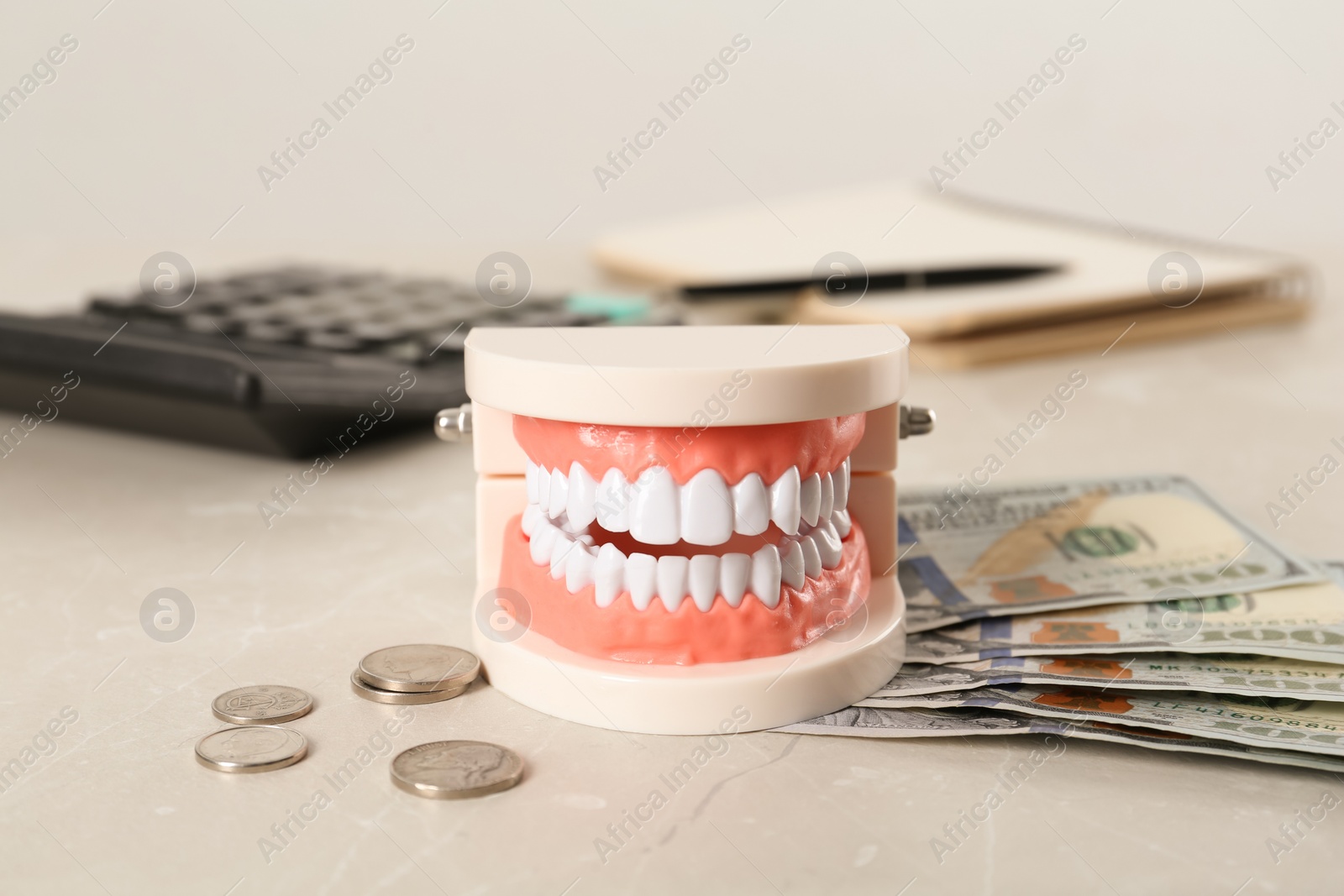 Photo of Educational dental typodont model and money on light grey table. Expensive treatment