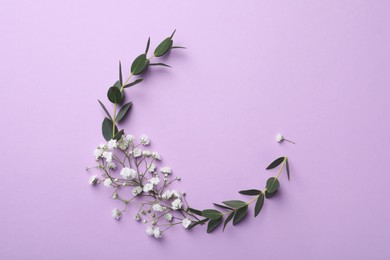 Beautiful gypsophila flowers and eucalyptus branches on violet background, flat lay. Space for text