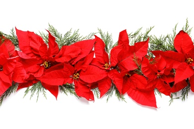 Photo of Flat lay composition with poinsettia on white background. Traditional Christmas flower