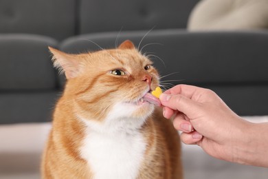 Woman giving vitamin pill to cute ginger cat indoors, closeup