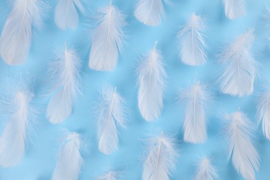 Fluffy white feathers on light blue background, flat lay