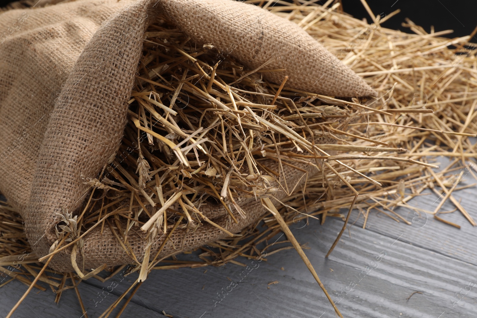 Photo of Dried straw in burlap sack on grey wooden table