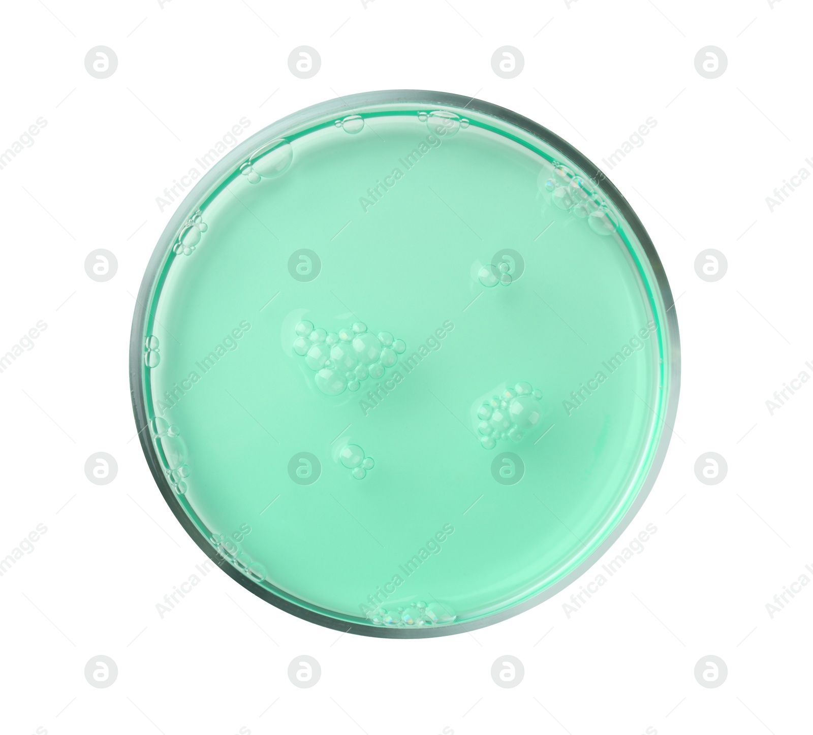 Photo of Petri dish with turquoise liquid sample on white background, top view