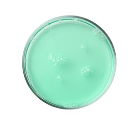 Photo of Petri dish with turquoise liquid sample on white background, top view