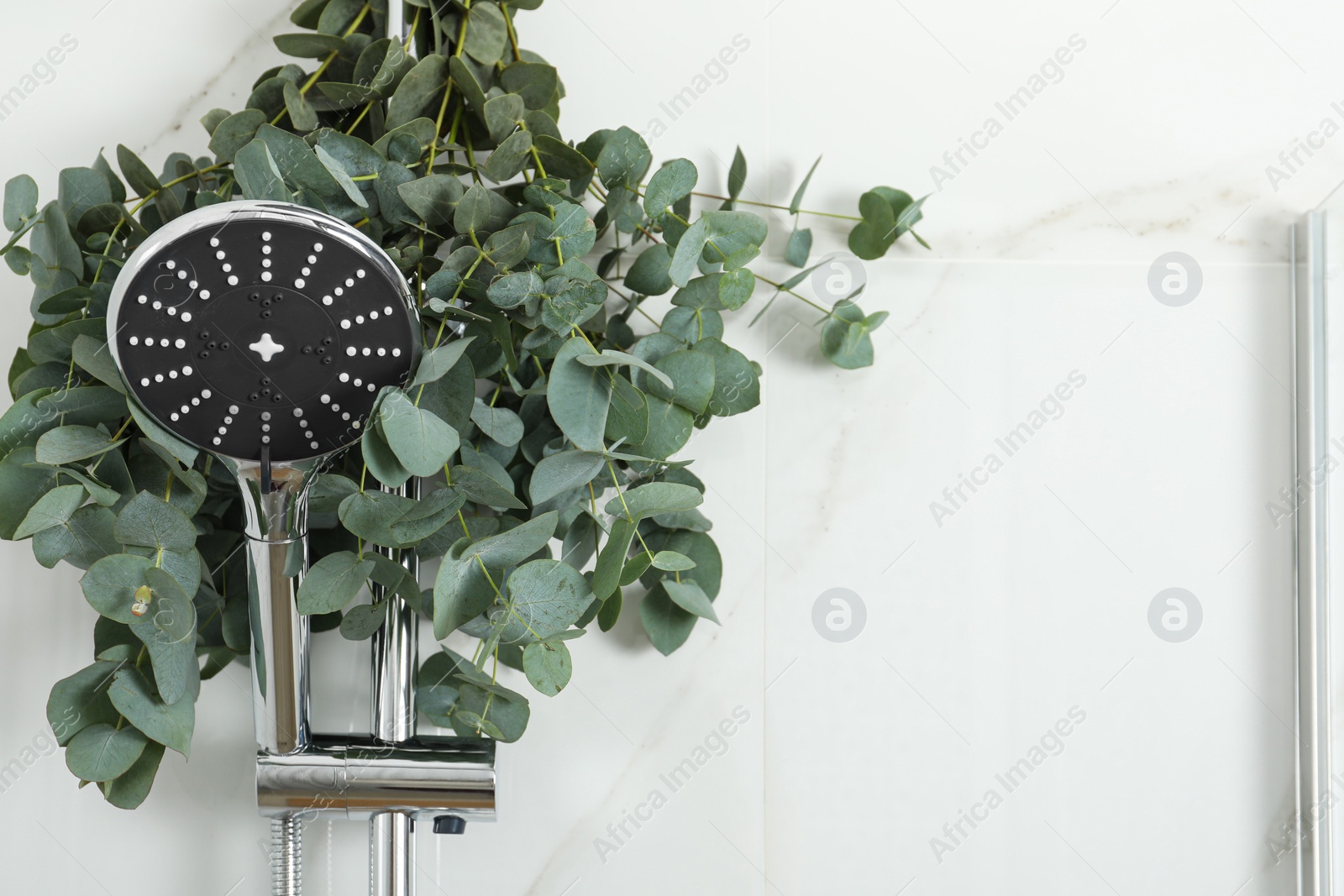 Photo of Branches with green eucalyptus leaves in shower, space for text