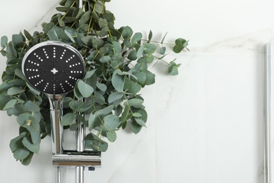 Photo of Branches with green eucalyptus leaves in shower, space for text