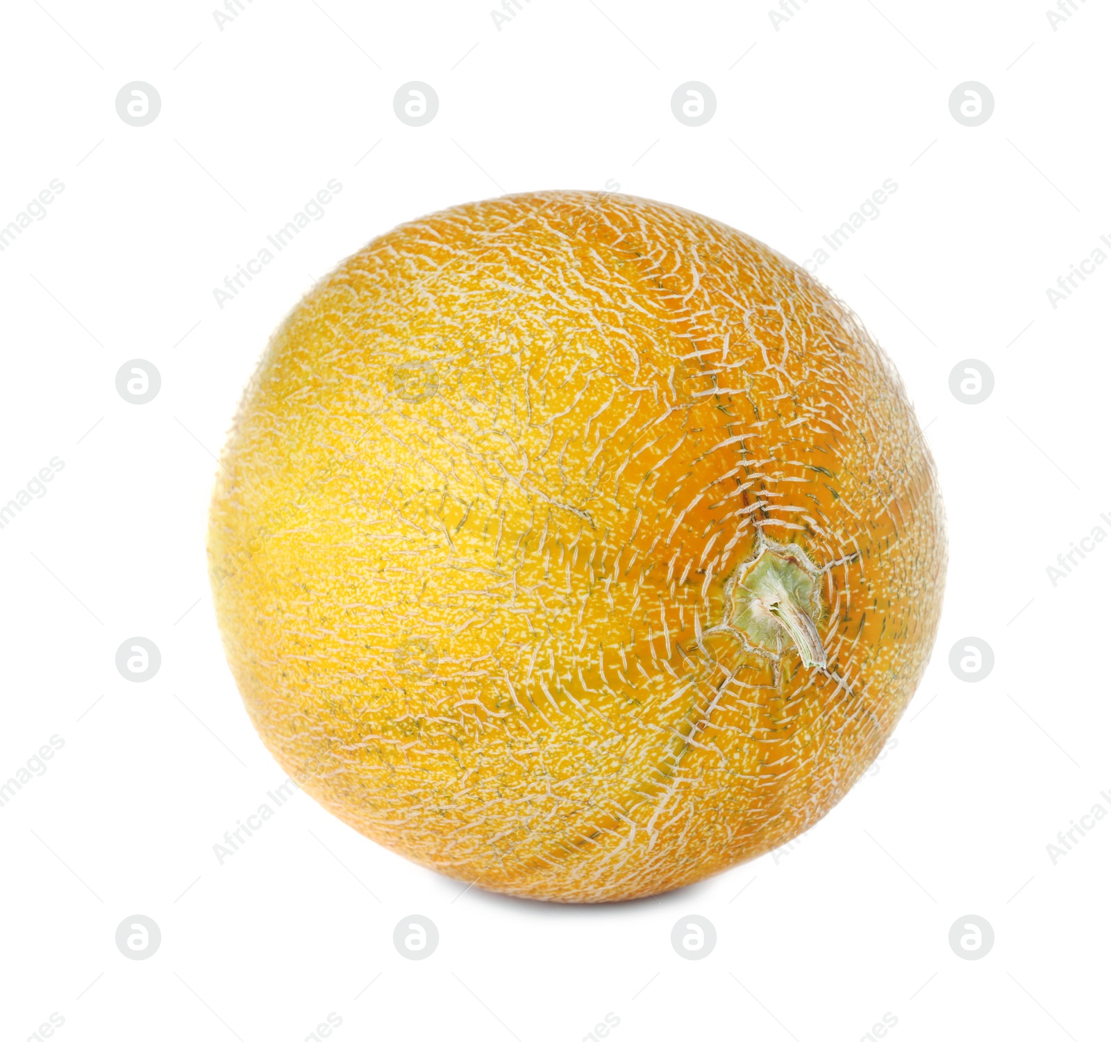 Photo of Whole tasty ripe melon on white background