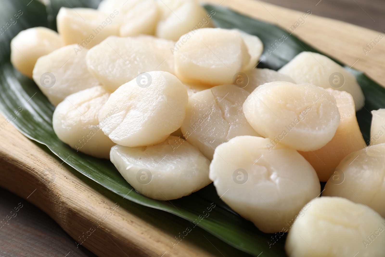 Photo of Fresh raw scallops on wooden table, closeup