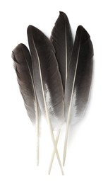 Many beautiful bird feathers isolated on white, top view