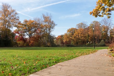 Picturesque view of park with beautiful trees and pathway on sunny day. Autumn season