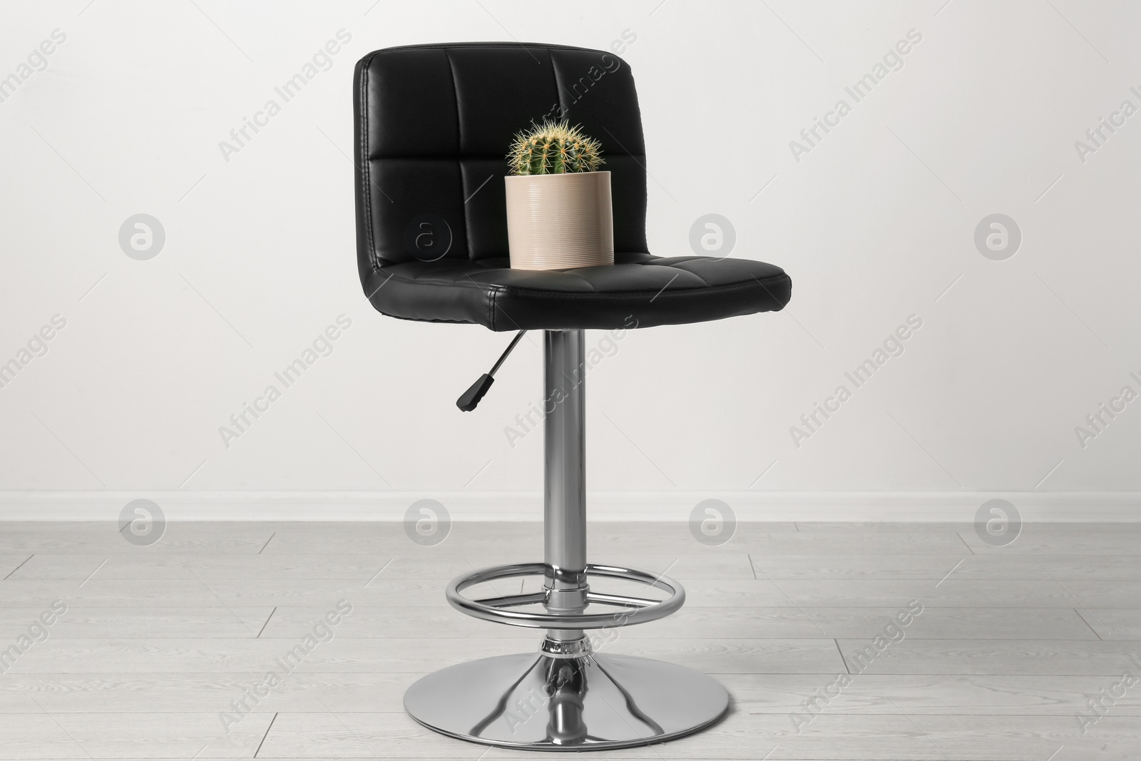 Photo of Chair with cactus near white wall. Hemorrhoids concept