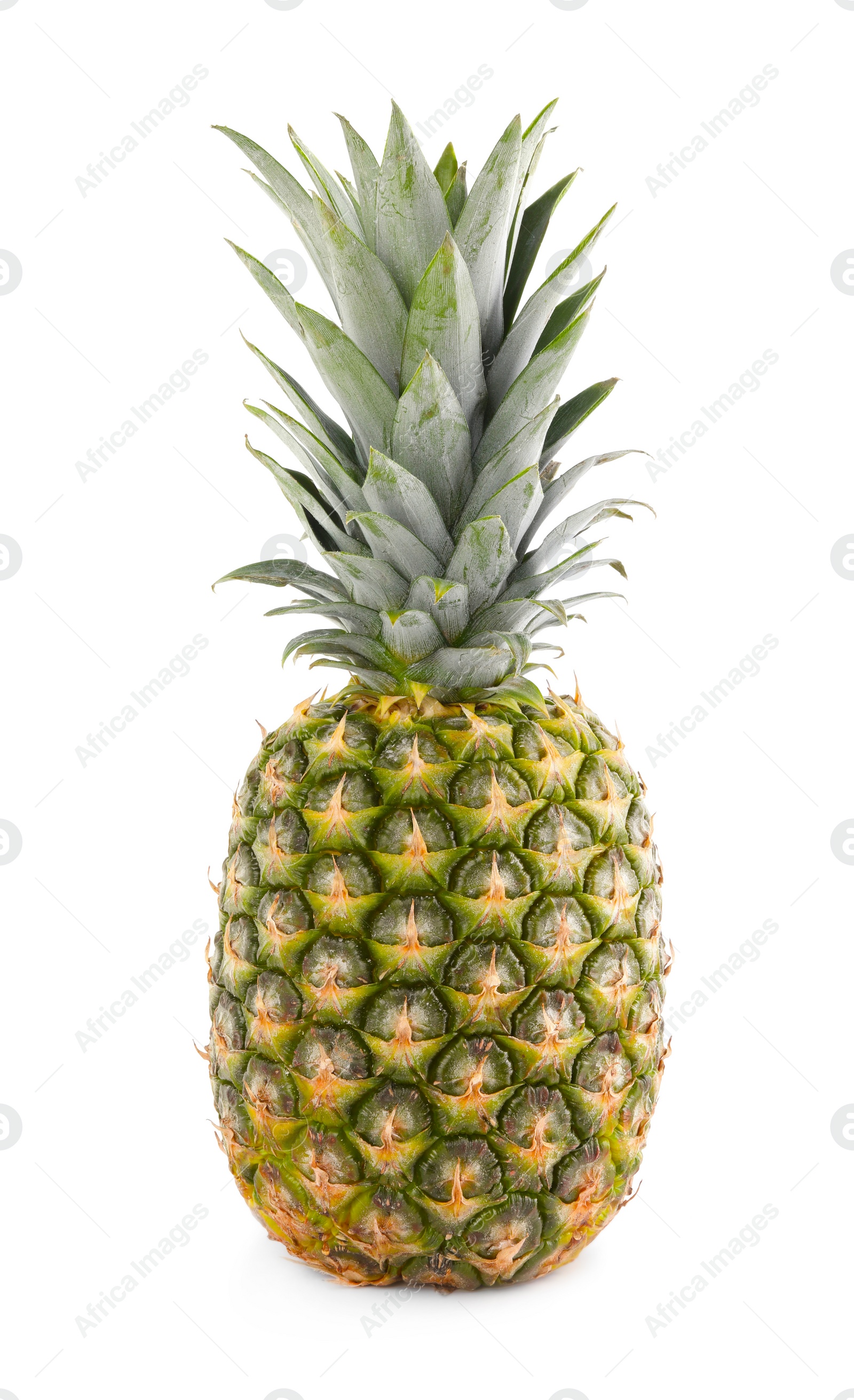 Photo of One delicious ripe pineapple isolated on white