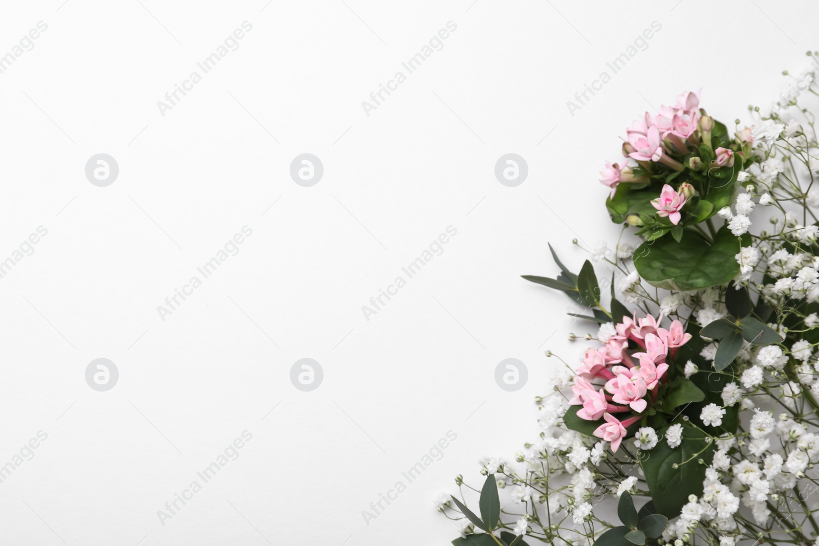 Photo of Beautiful floral composition with gypsophila flowers on white background, top view. Space for text