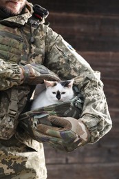 Photo of Ukrainian soldier rescuing animal. Little stray cat sitting in helmet outdoors, closeup