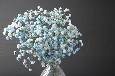 Photo of Beautiful dyed gypsophila flowers in glass vase on dark grey background