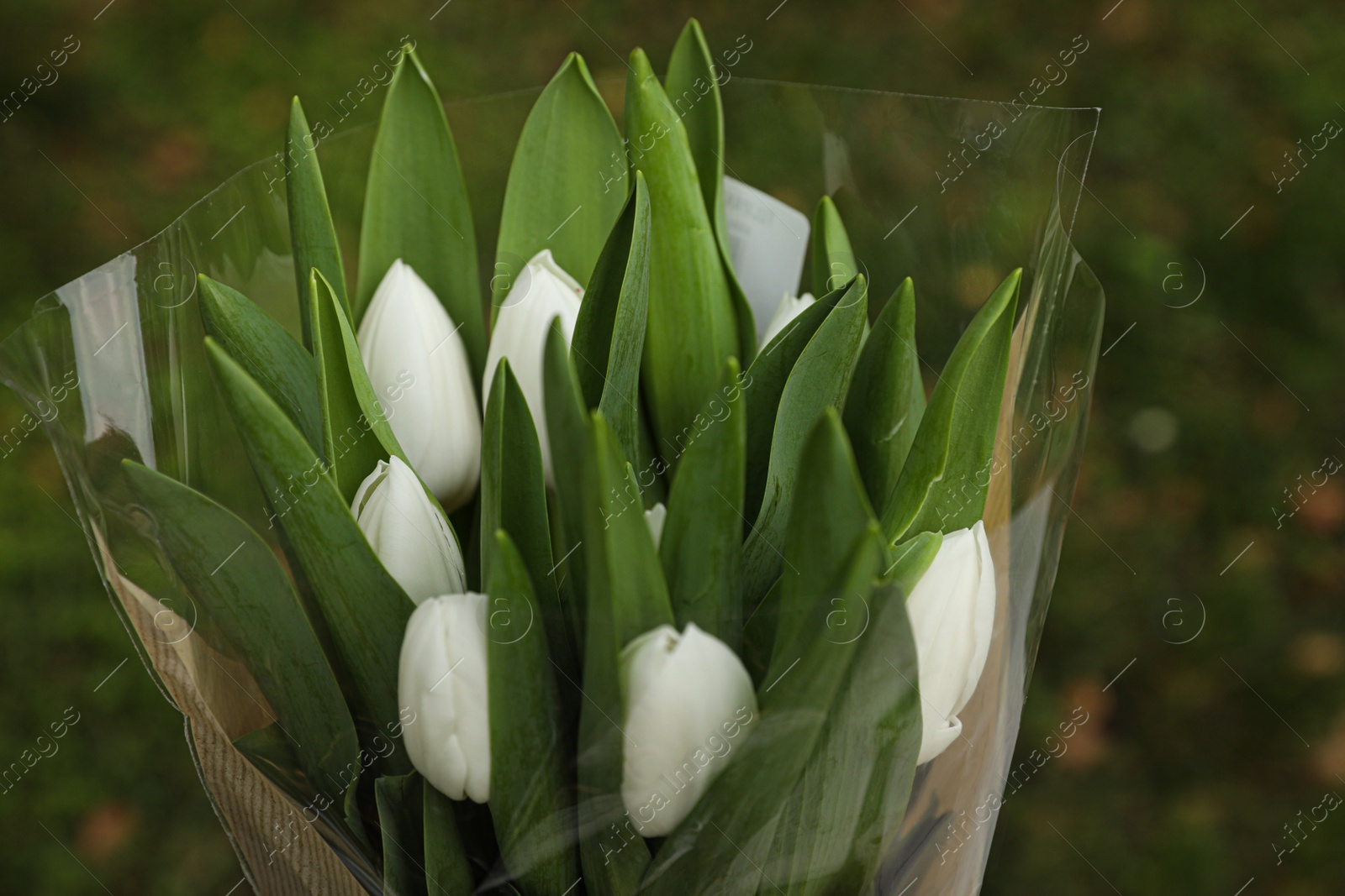 Photo of Beautiful bouquet of white tulips outdoors, closeup