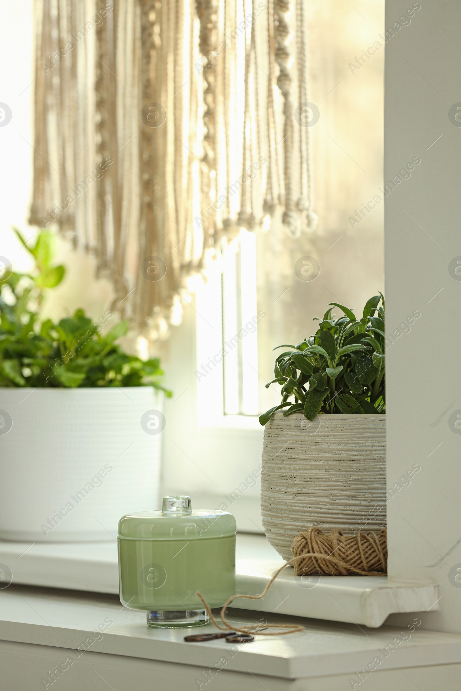 Photo of Different aromatic potted herbs on windowsill indoors