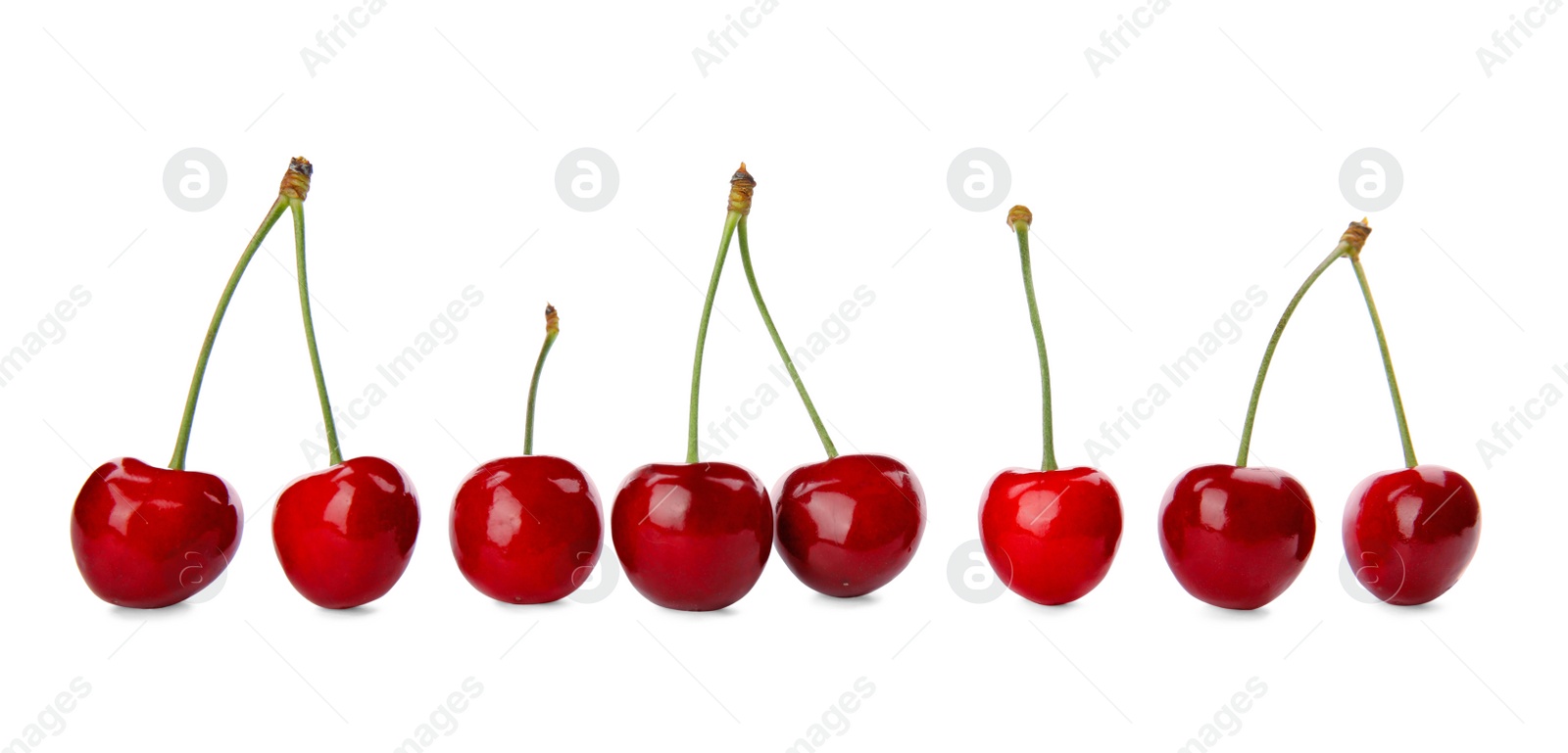 Photo of Sweet red cherries on white background