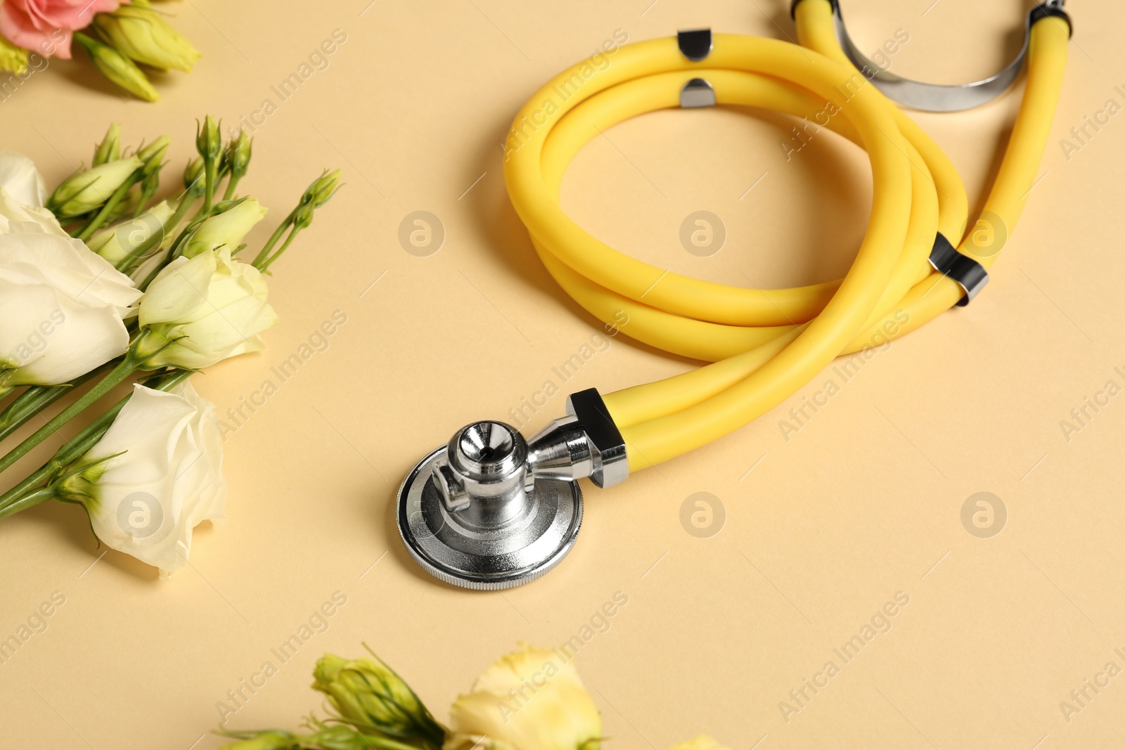 Photo of Stethoscope and eustoma flowers on beige background. Happy Doctor's Day