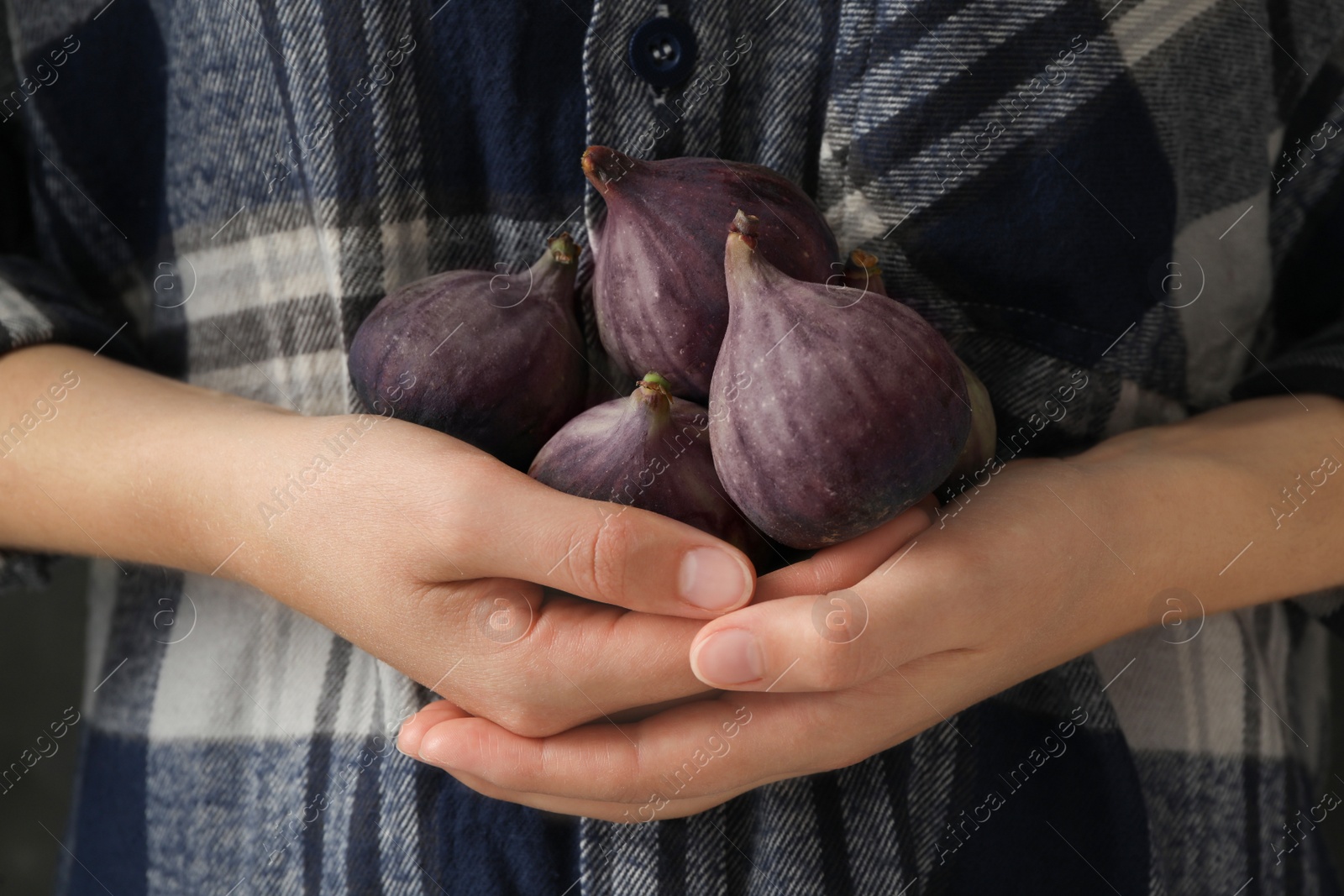 Photo of Woman holding tasty raw purple figs, closeup