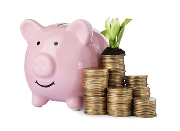 Photo of Stacks of coins with flower and piggy bank isolated on white. Investment concept