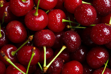 Sweet red cherries with water drops as background, closeup