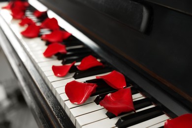 Many red rose petals on piano keys, closeup