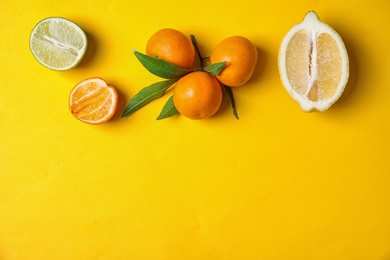 Different citrus fruits on color background, top view. Space for text