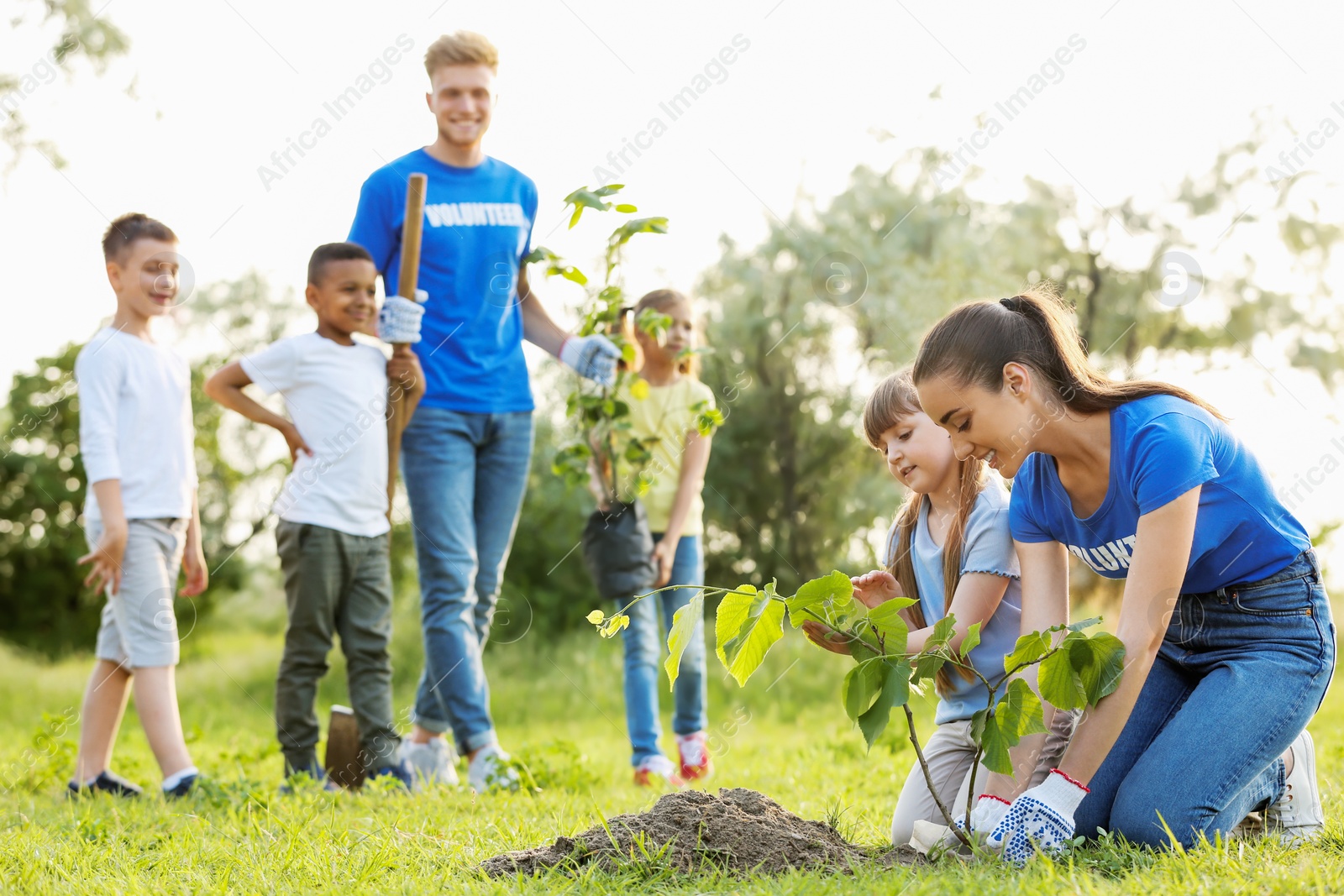 Photo of Kids planting trees with volunteers in park