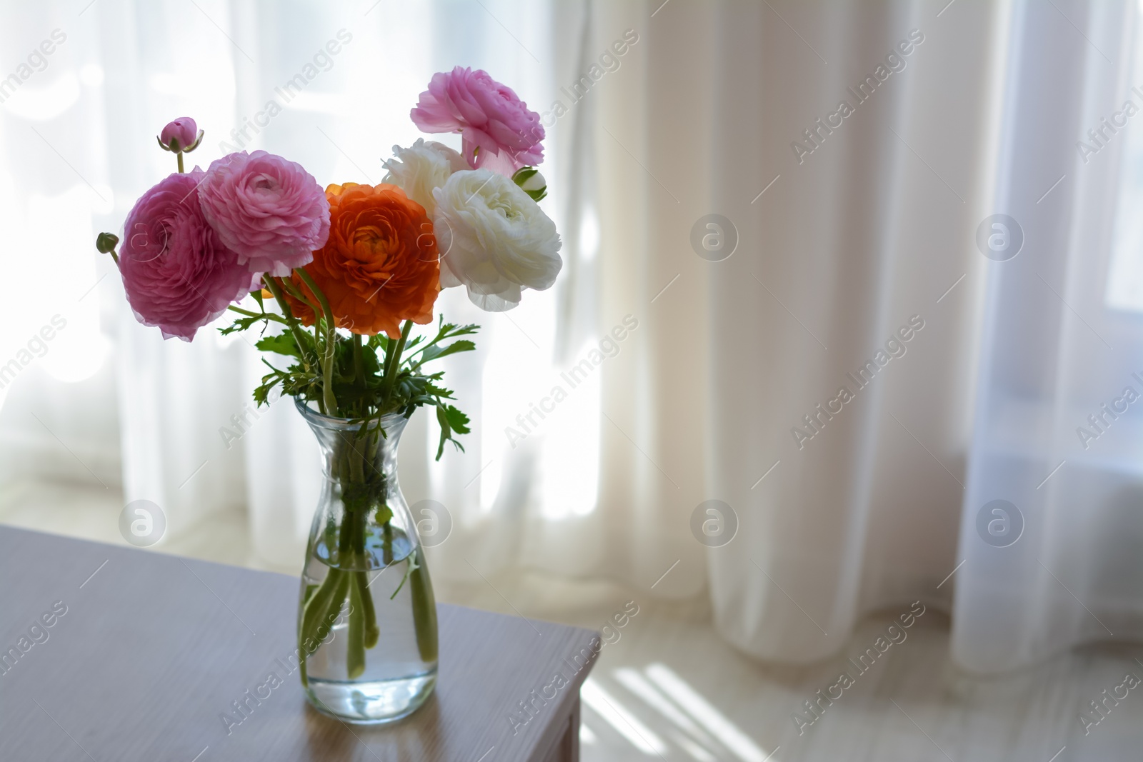 Photo of Bouquet of beautiful ranunculus flowers in vase on wooden table indoors. Space for text