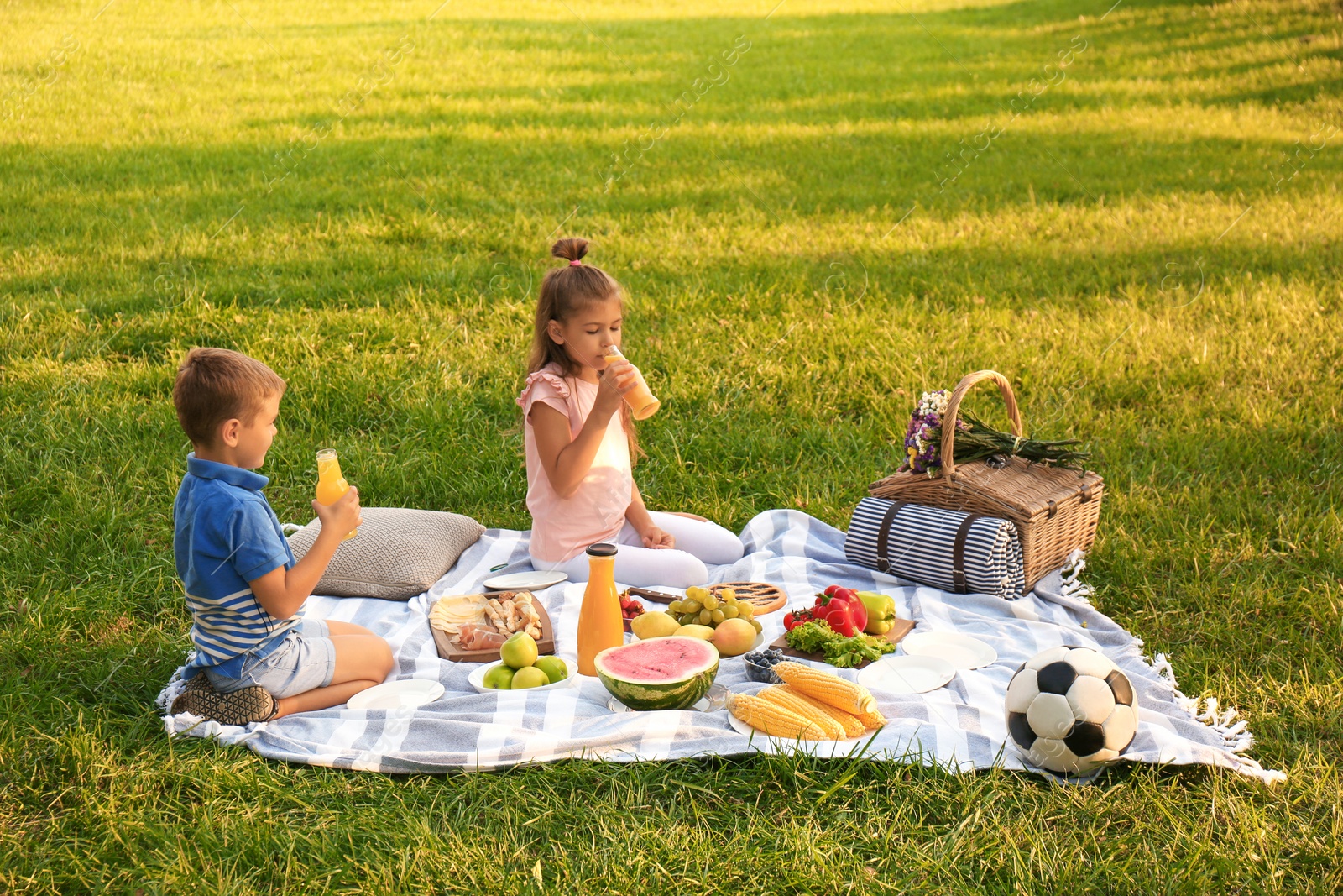 Photo of Happy children having picnic in park on sunny day