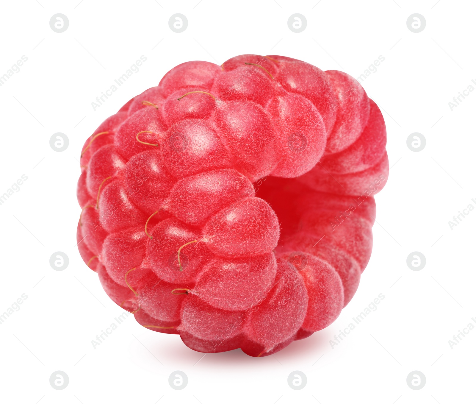 Photo of One tasty ripe raspberry isolated on white