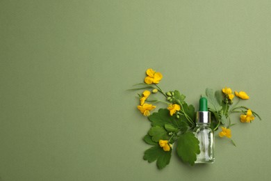 Bottle of natural celandine oil and flowers on green background, flat lay. Space for text