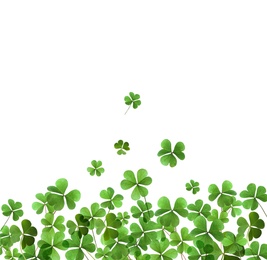 Image of Fresh green clover leaves on white background. St. Patrick's Day 