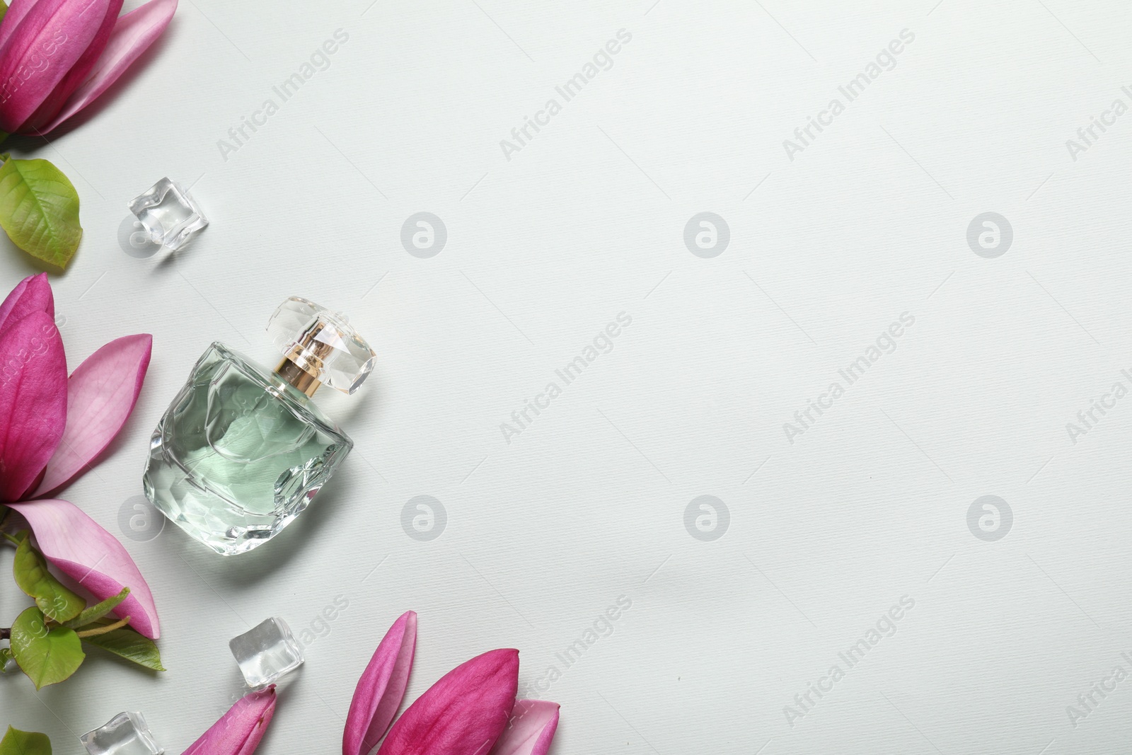 Photo of Beautiful pink magnolia flowers, bottle of perfume and ice cubes on light grey background, flat lay. Space for text