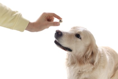 Photo of Woman giving heart shaped pill to cute dog on white background, closeup. Vitamins for animal