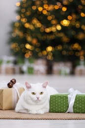 Photo of Christmas atmosphere. Adorable cat lying between gift boxes on rug in cosy room. Space for text