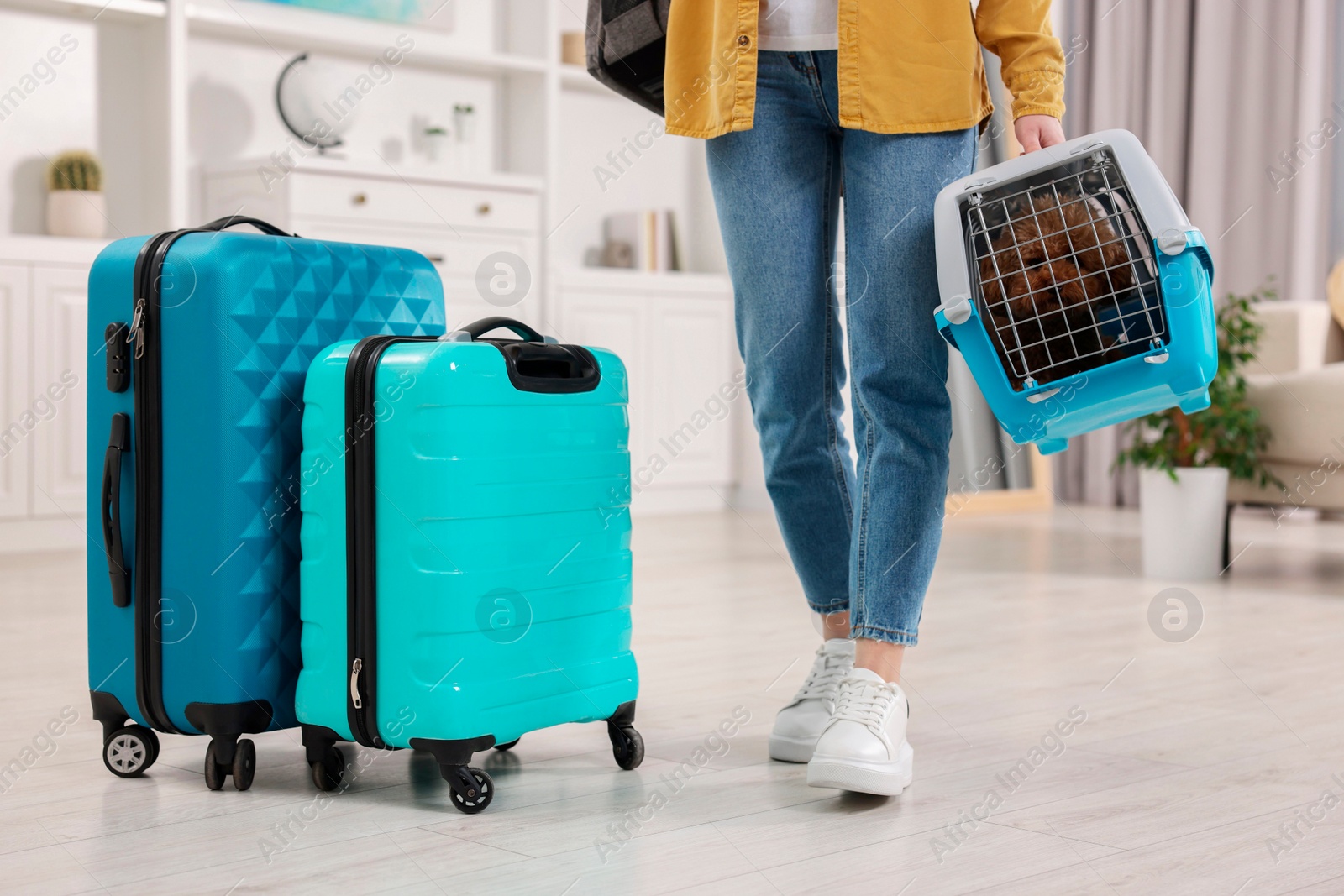 Photo of Travel with pet. Woman holding carrier with dog at home, closeup