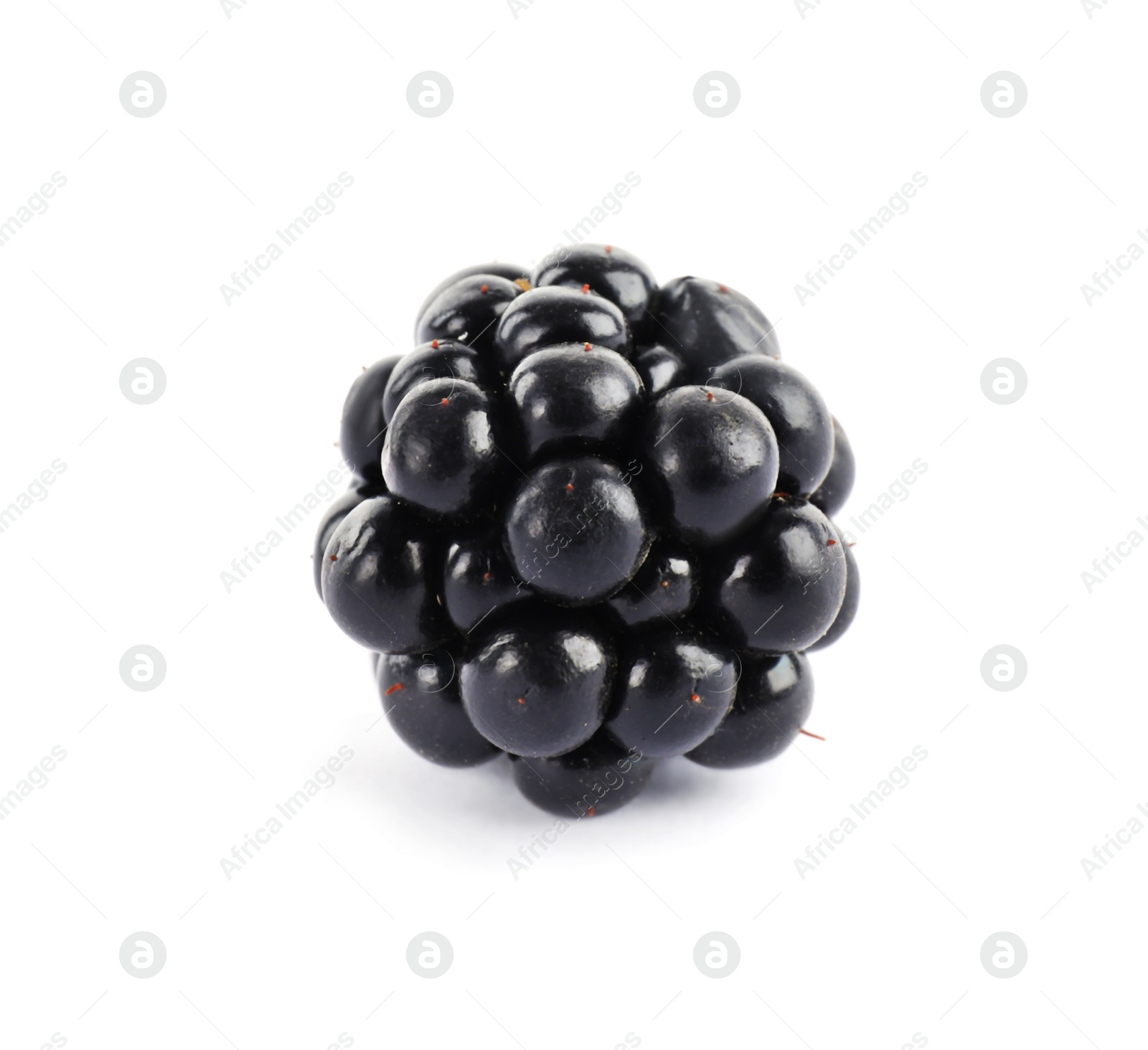 Photo of Beautiful tasty ripe blackberry on white background