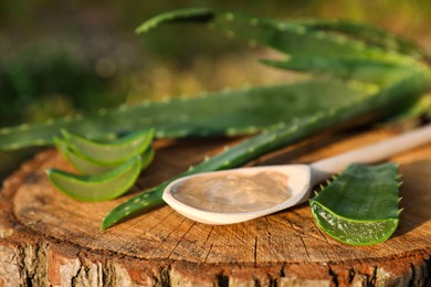 Photo of Green aloe vera leaves and spoon of gel on stump outdoors, closeup