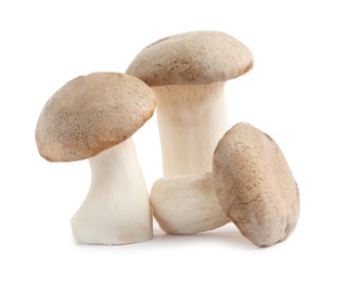 Photo of Fresh wild mushrooms on white background. Edible fungi