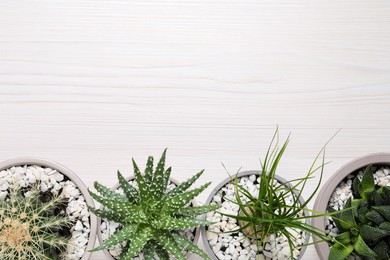 Photo of Different house plants in pots on white wooden table, flat lay. Space for text.