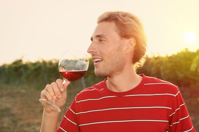 Photo of Young handsome man enjoying wine at vineyard on sunny day