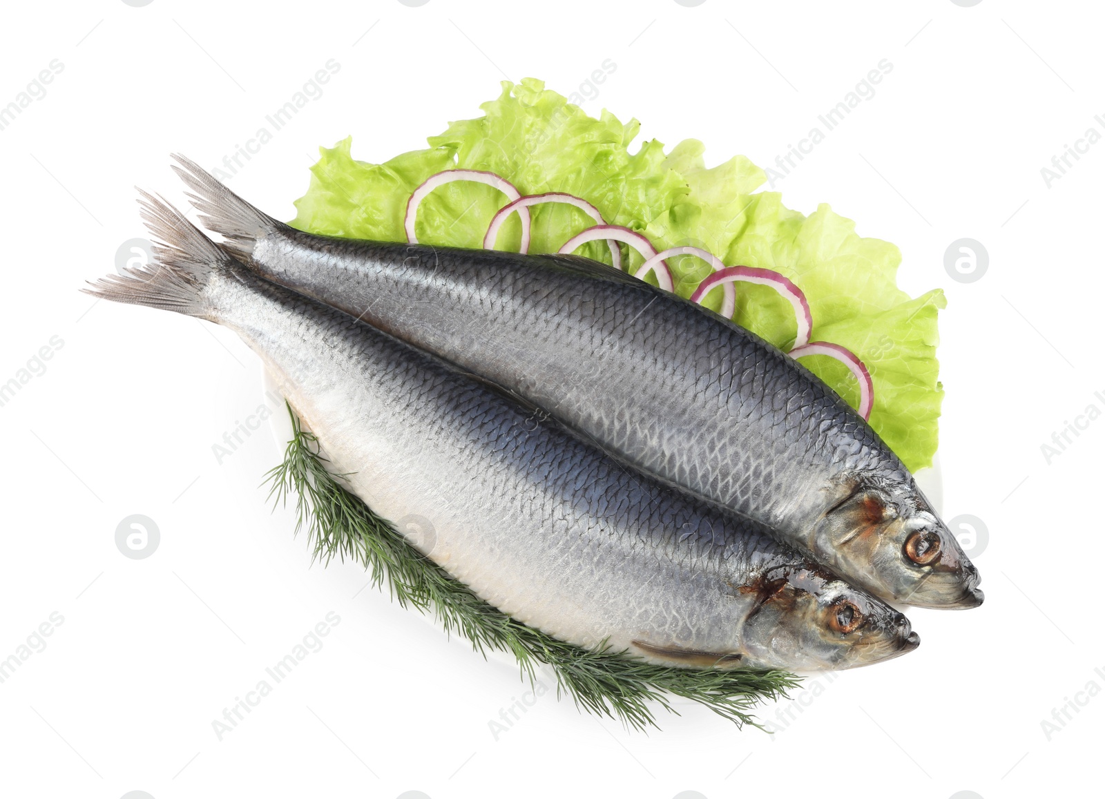 Photo of Plate with salted herrings, dill, onion rings and lettuce isolated on white, top view