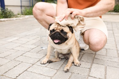 Photo of Owner helping his pug dog on street in hot day, closeup. Heat stroke prevention