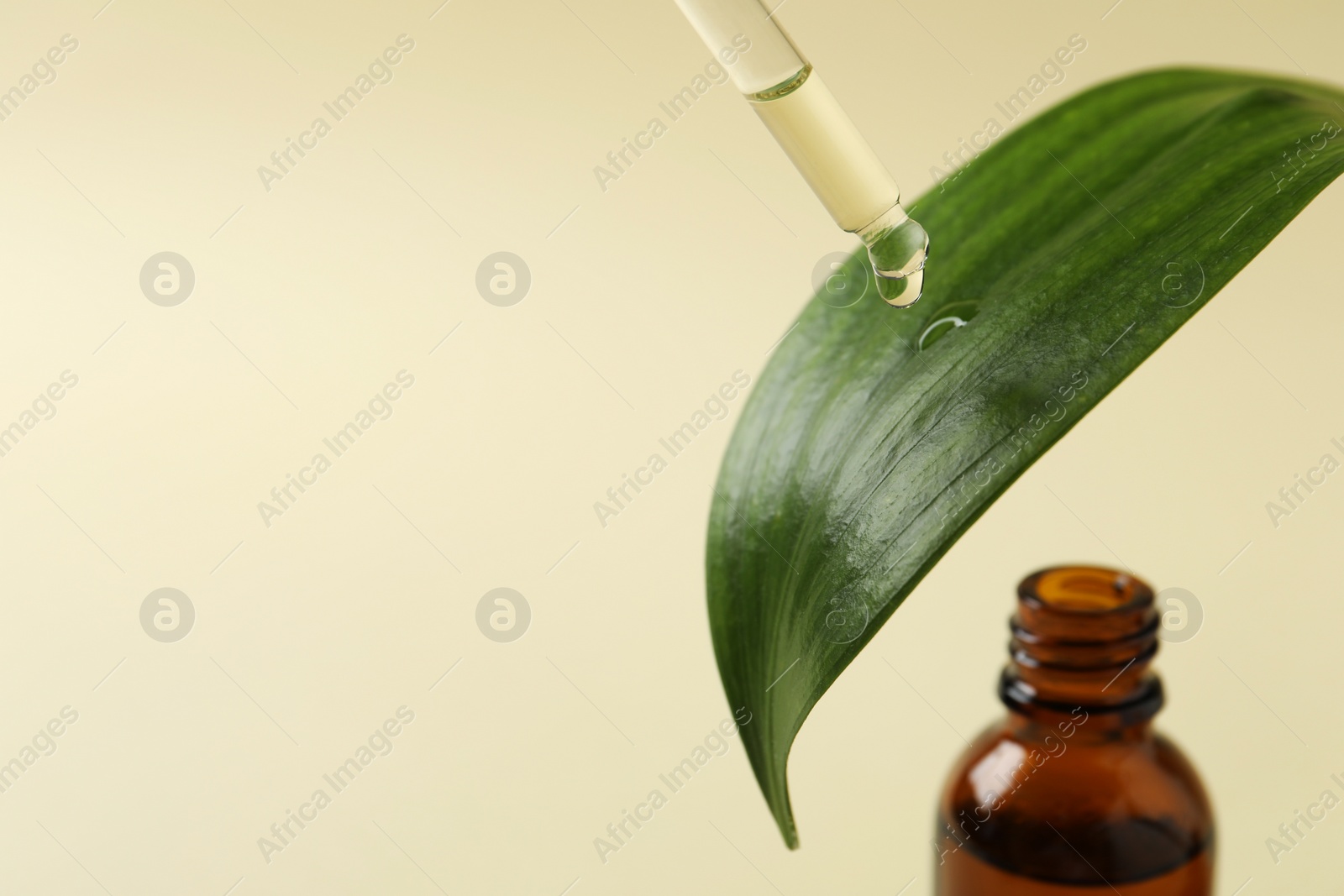Photo of Dripping cosmetic oil from pipette into leaf on beige background, closeup. Space for text