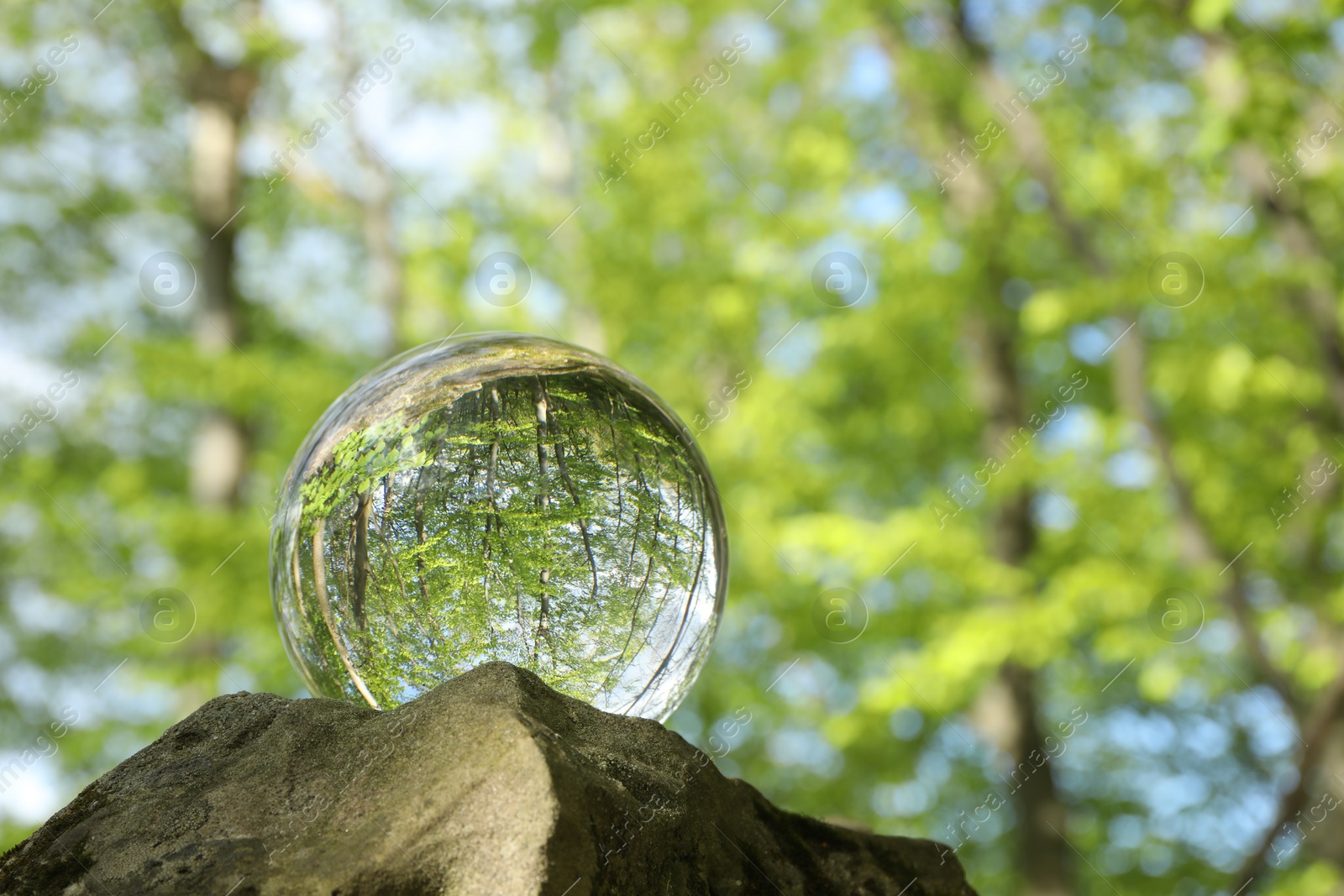 Photo of Beautiful green trees outdoors, overturned reflection. Crystal ball on stone in forest. Space for text