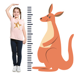Little girl measuring height and drawing of kangaroo on white background